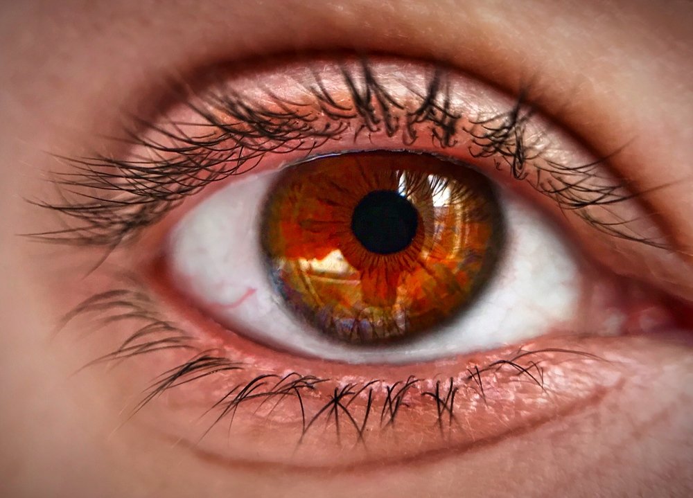 Photograph by Мария Шрейдер