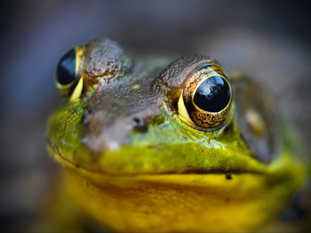 Photograph by Razgulyaev Aleksandr