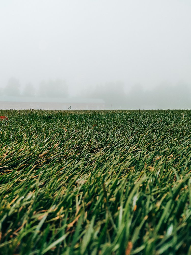 Photograph by Василина Кабанова