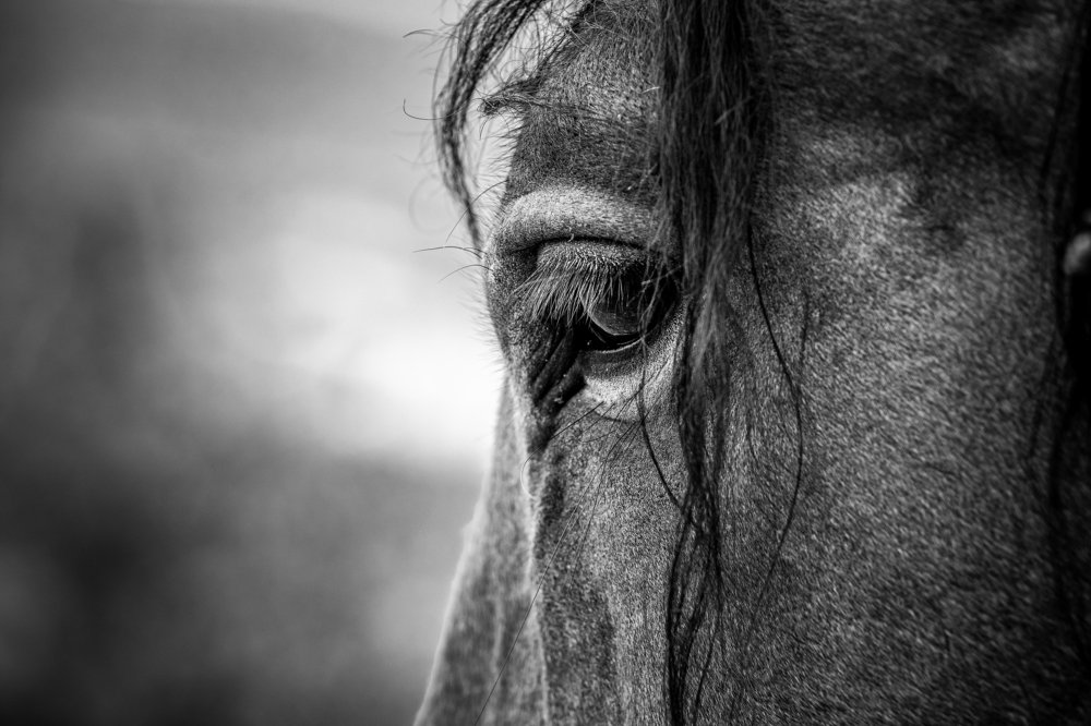 The door to the soul