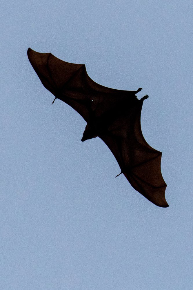 Фотография автора Grace Rani