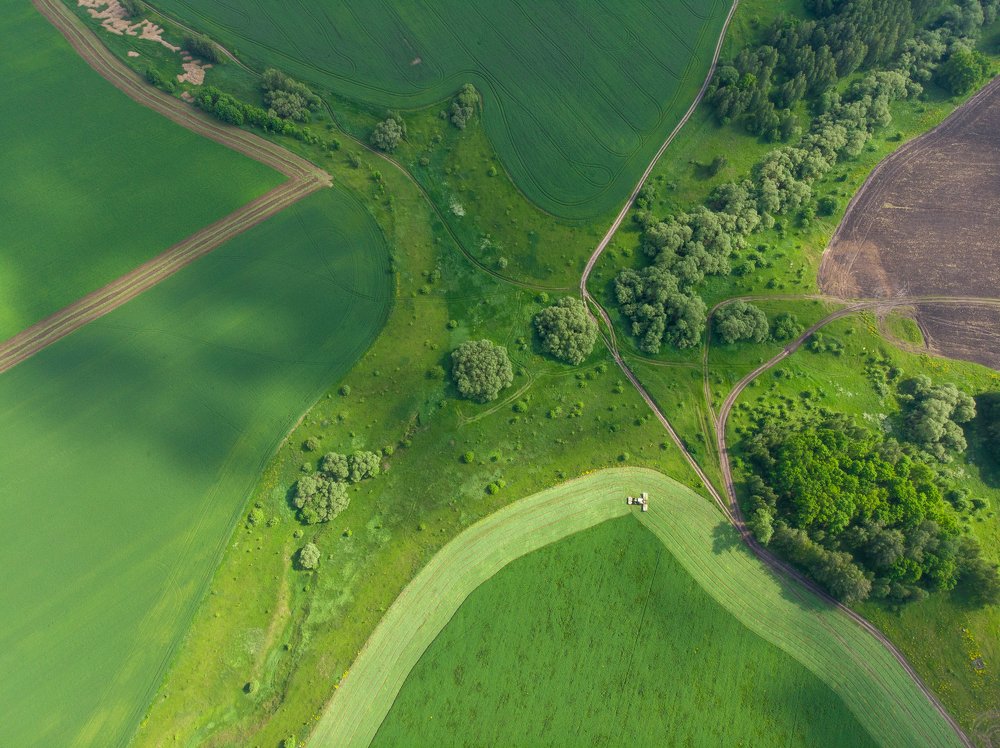 Весенние поля. Spring fields.