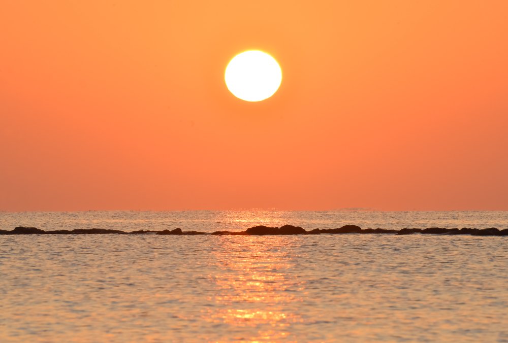 Photograph by Ольга Мендоса