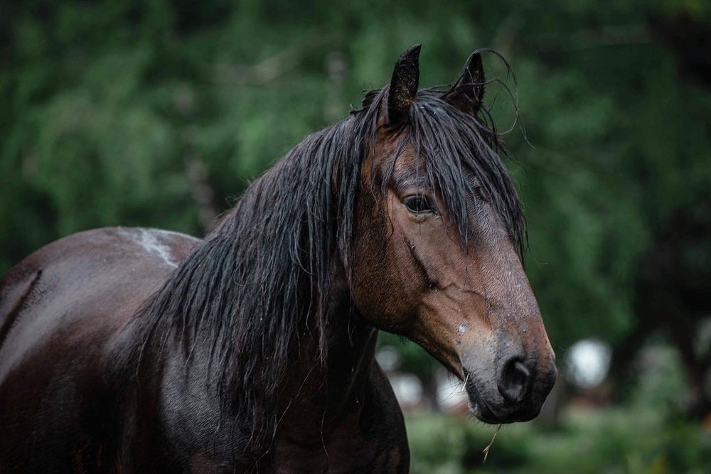 Photograph by ЕВГЕНИЙ РУДЕНКО