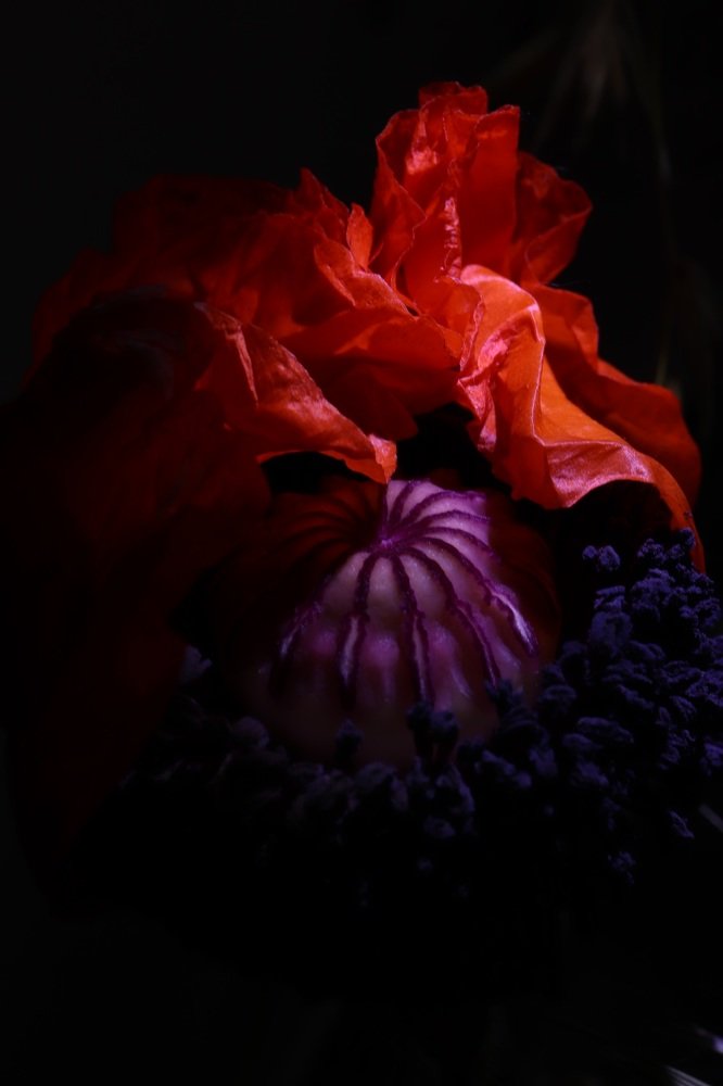 Photograph by Евгения Гудкова