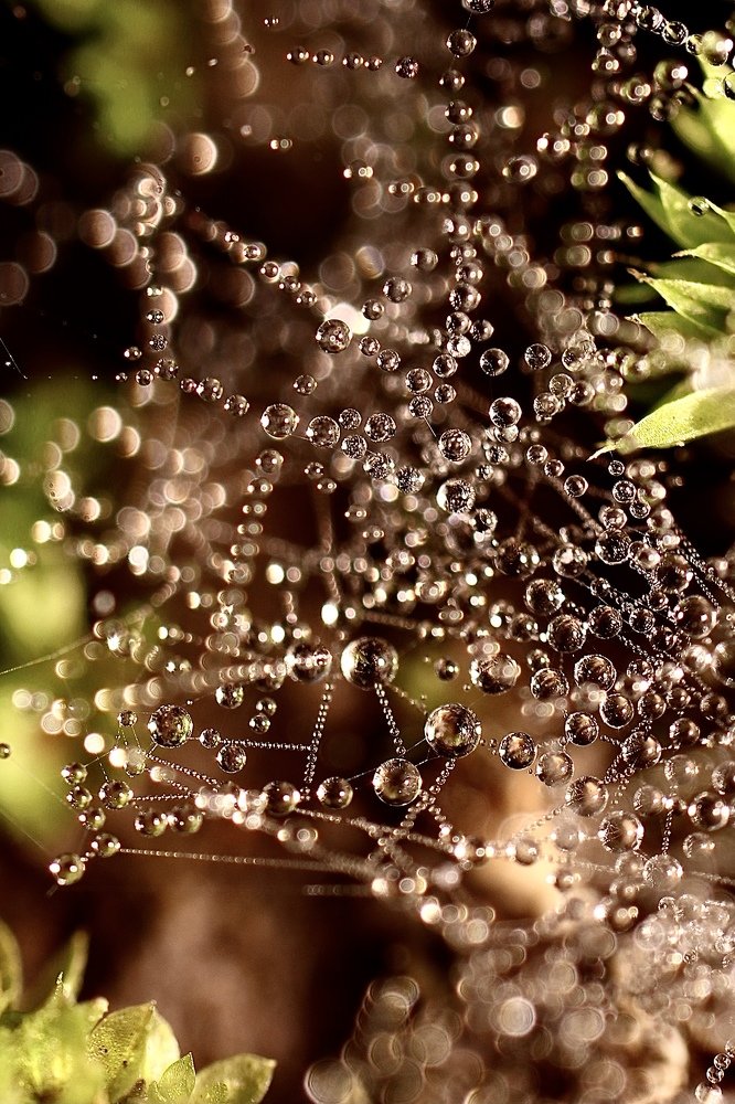 Photograph by Евгения Гудкова