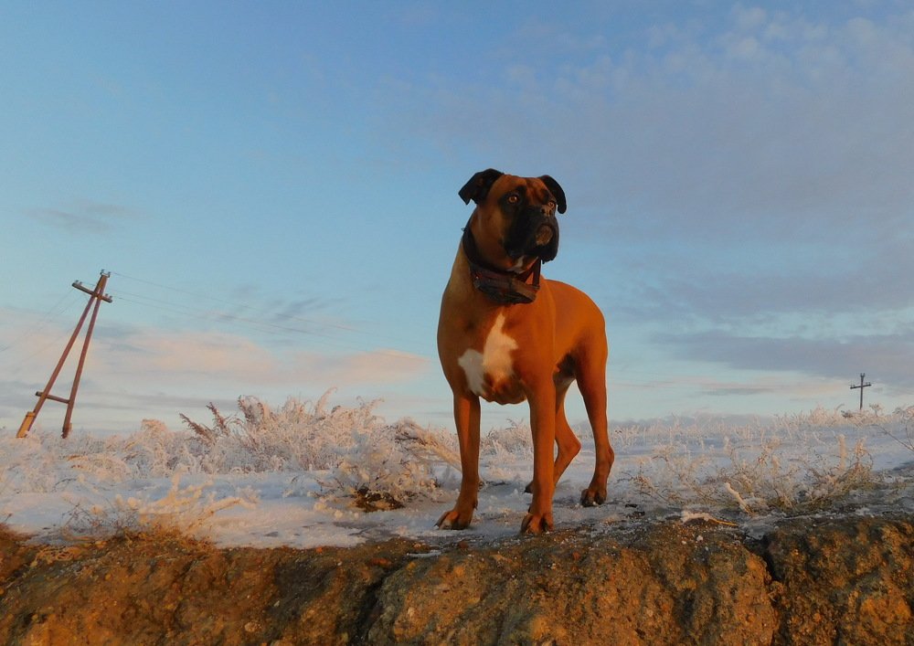 Photograph by Сергей Чеченов