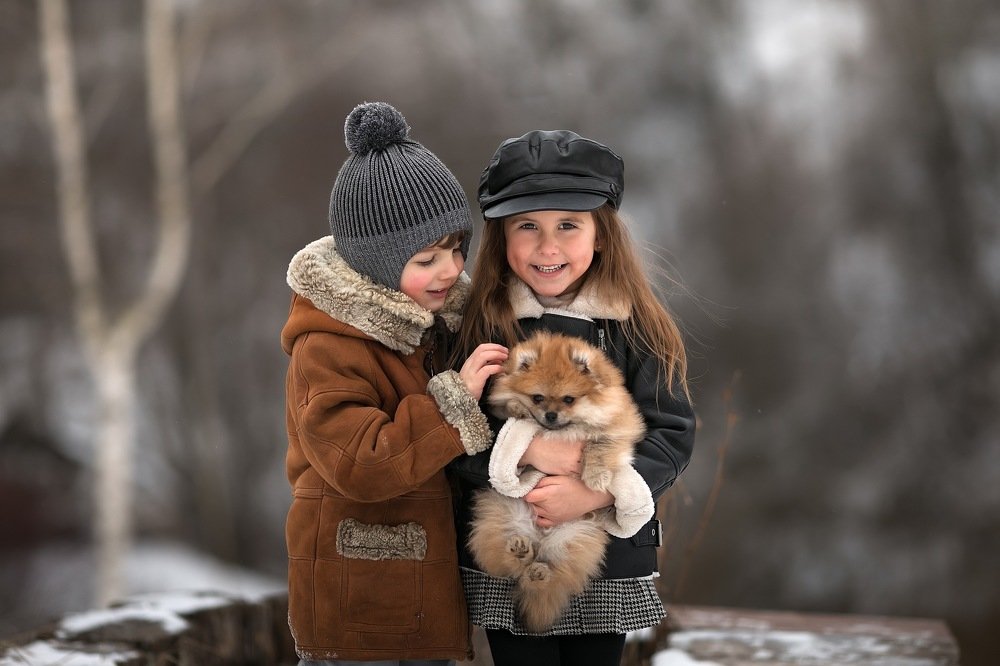 Фотография автора Анна Крутицкая