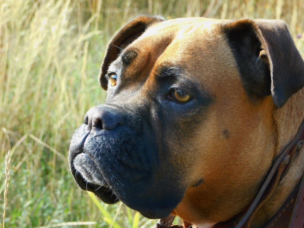 Photograph by Сергей Чеченов