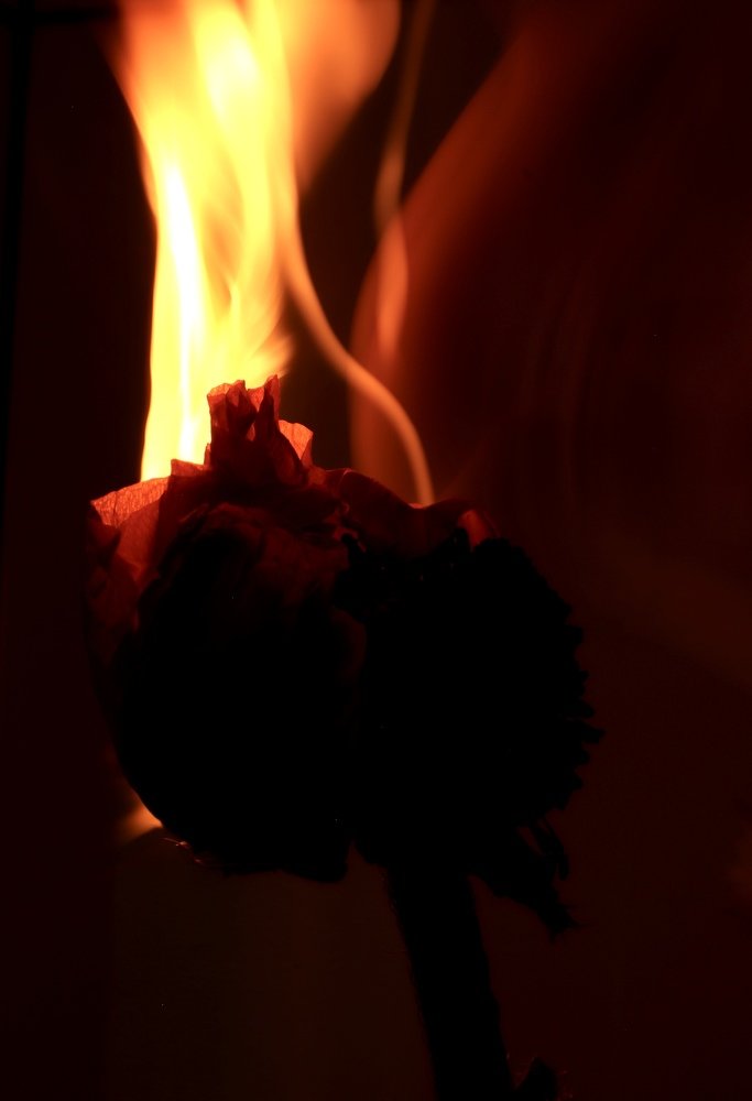 Photograph by Евгения Гудкова