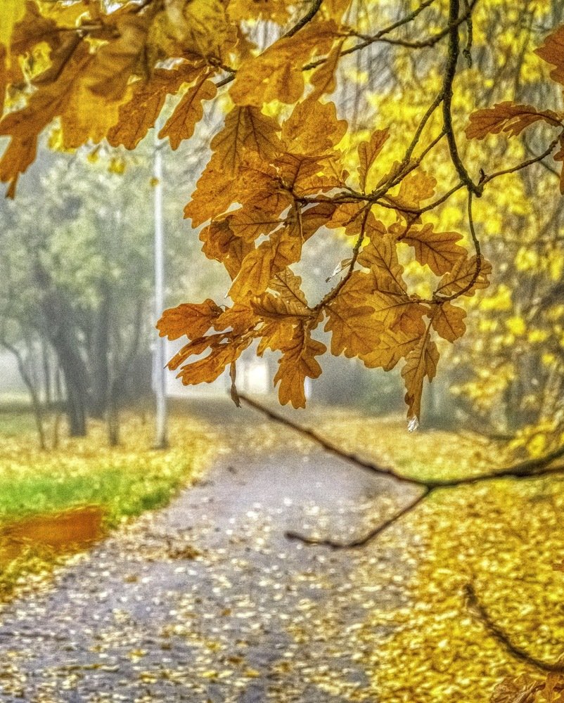 Photograph by Vladimir Narajevski