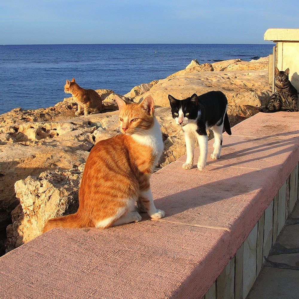 Photograph by Сергей Сережников