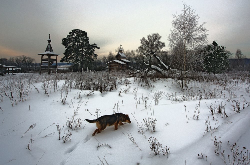 Photograph by Сергей Сережников