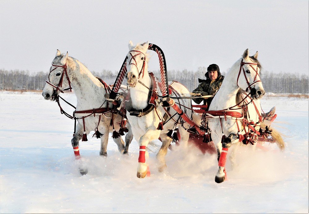 Photograph by Владимир Бикмаев