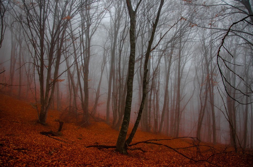 Photograph by Кирилл Владыкин