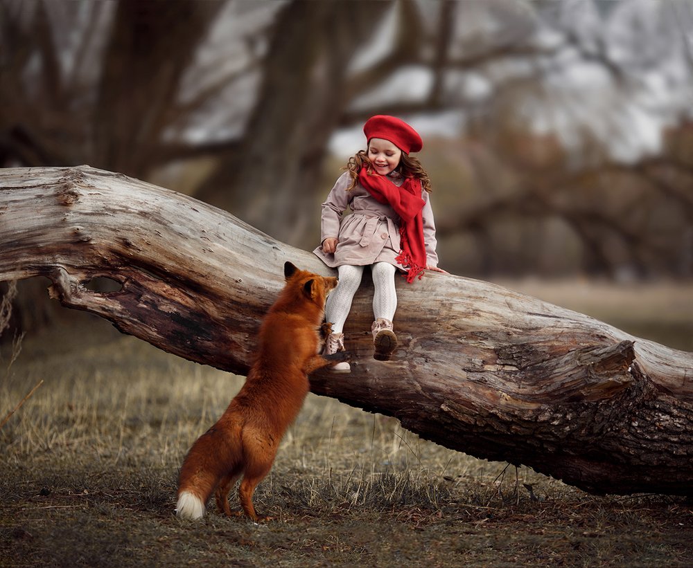 Photograph by Алёна Алексеева