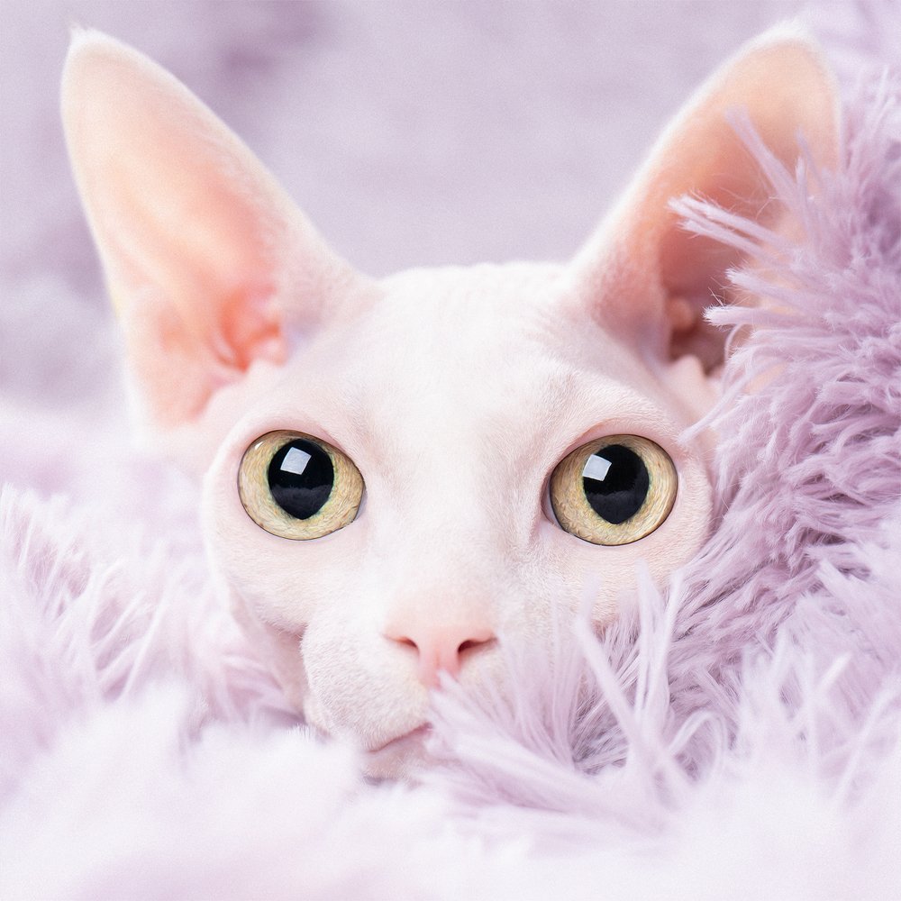 Photograph by Татьяна Полякова