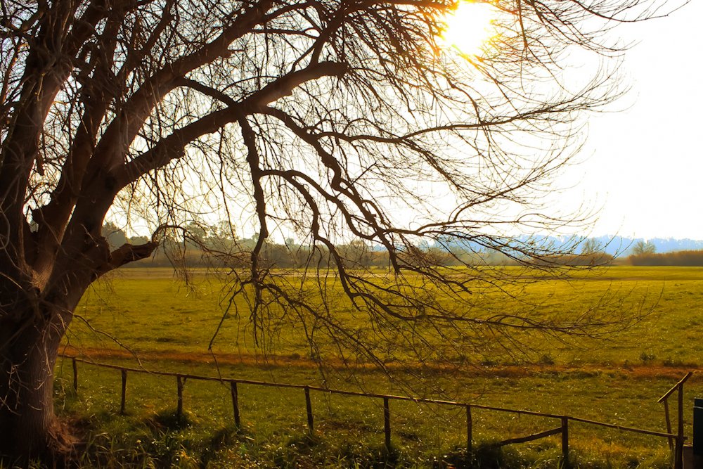 Photograph by Maria Cristina Artale