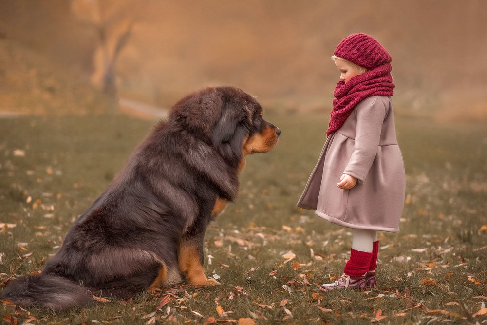 Photograph by Екатерина Иванова