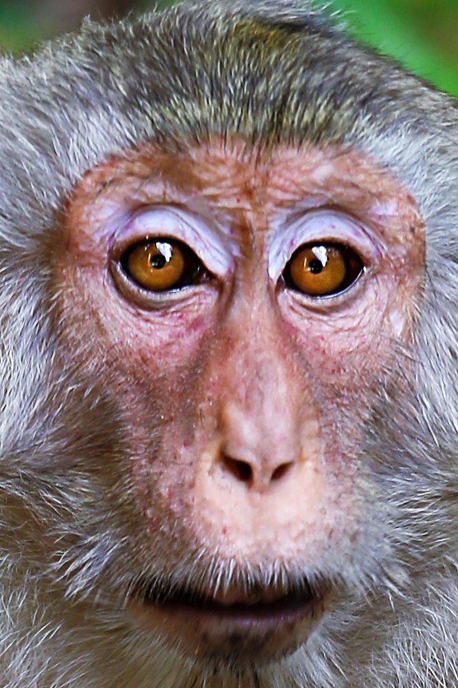 Photograph by Юлия Калугина