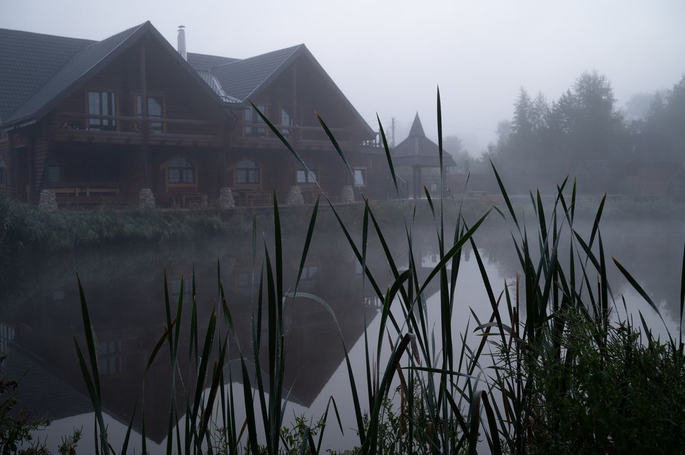 Тихая заводь