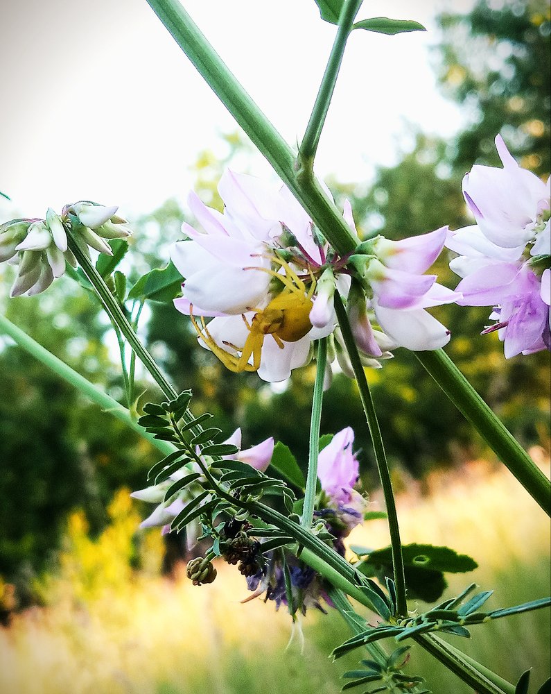 Photograph by Татьяна Зобова