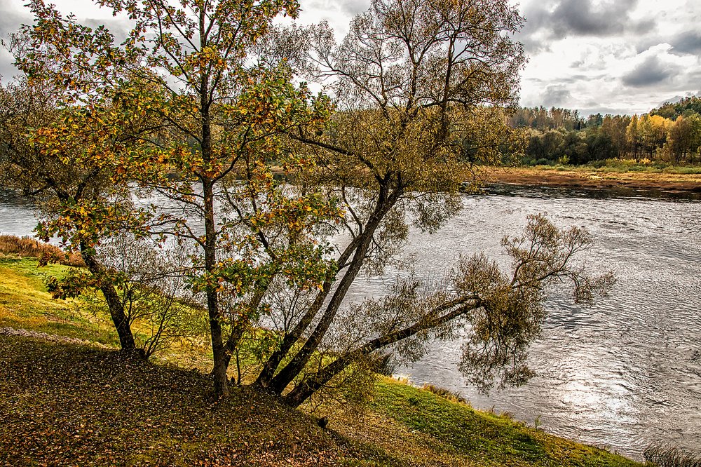 Photograph by Galina