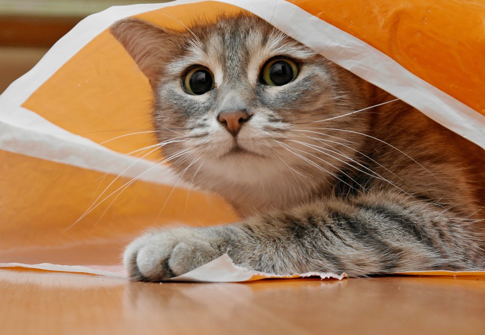 Photograph by Ольга Ситникова