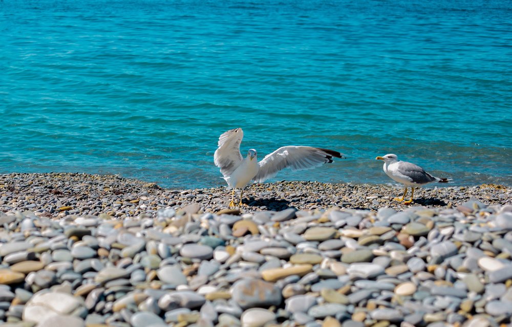 Photograph by Екатерина Кваша