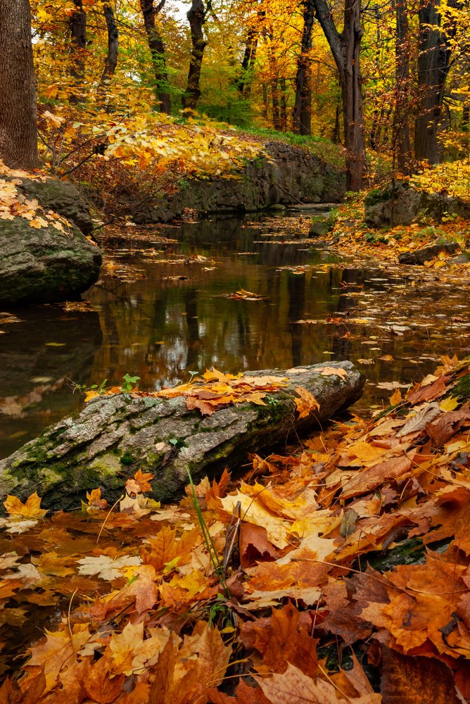 Photograph by Сергей Щербина