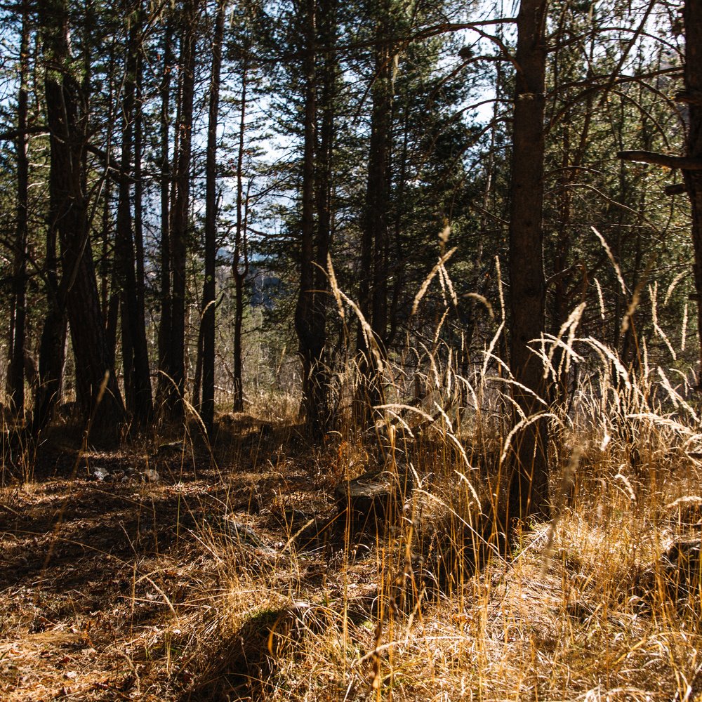 Photograph by Сергей Михайлович