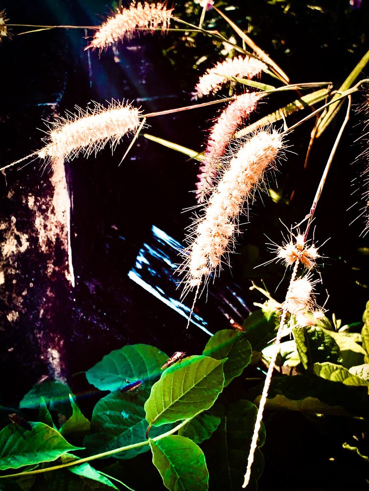 Photograph by Tin Htun Naing