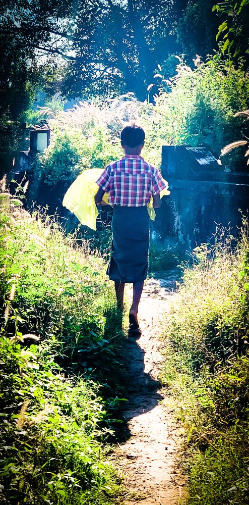 Funeral of a pet dog