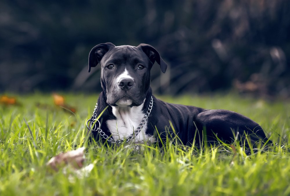 Photograph by Александр Бен Сандлер