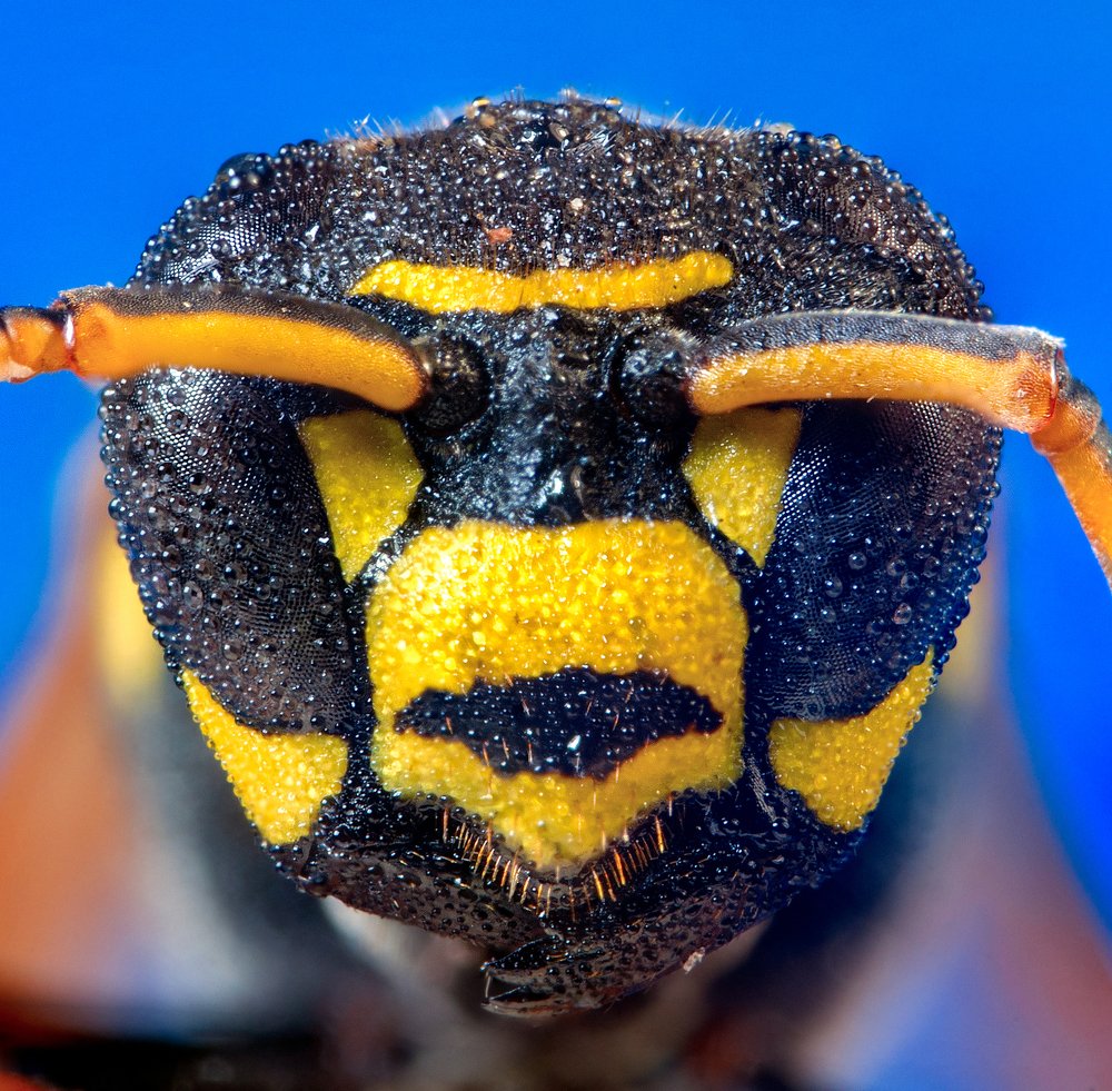 Photograph by Сергей Беляевский