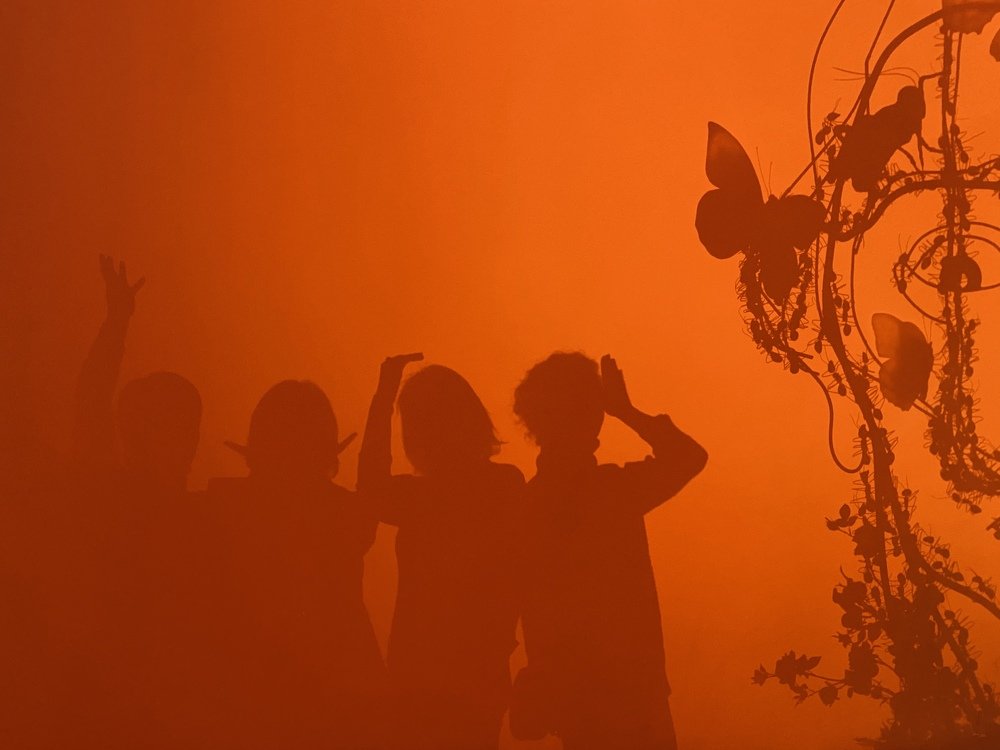 Оранжевые сны. Orange dreams