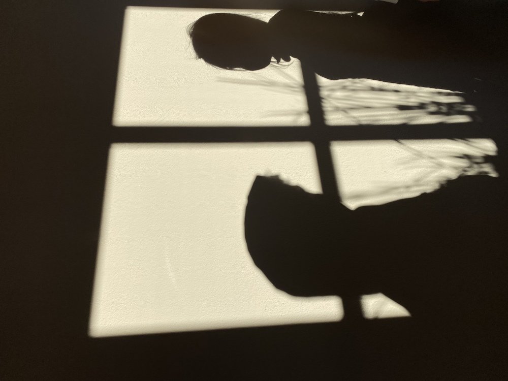 Фотография автора Maria Alekseeva