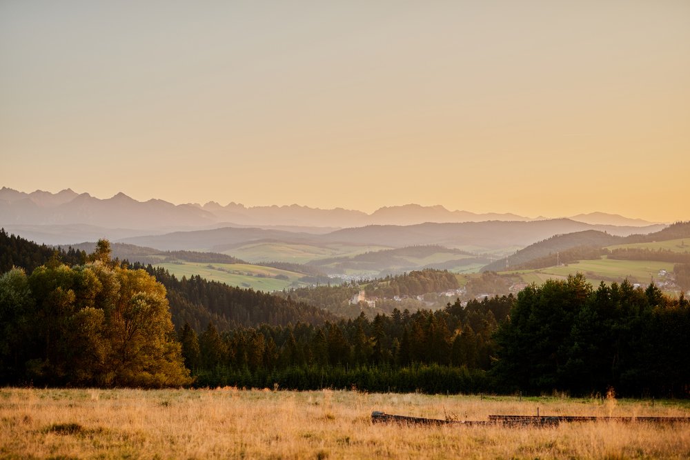 Photograph by Bartek Ziomek