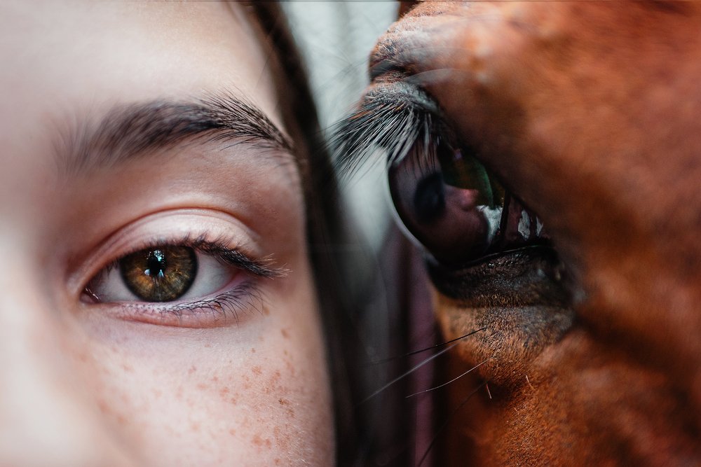 Фотография автора PO IRINA