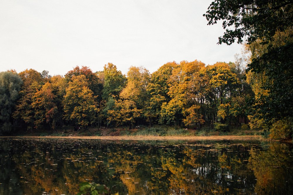 Photograph by Ангелина Рукавец