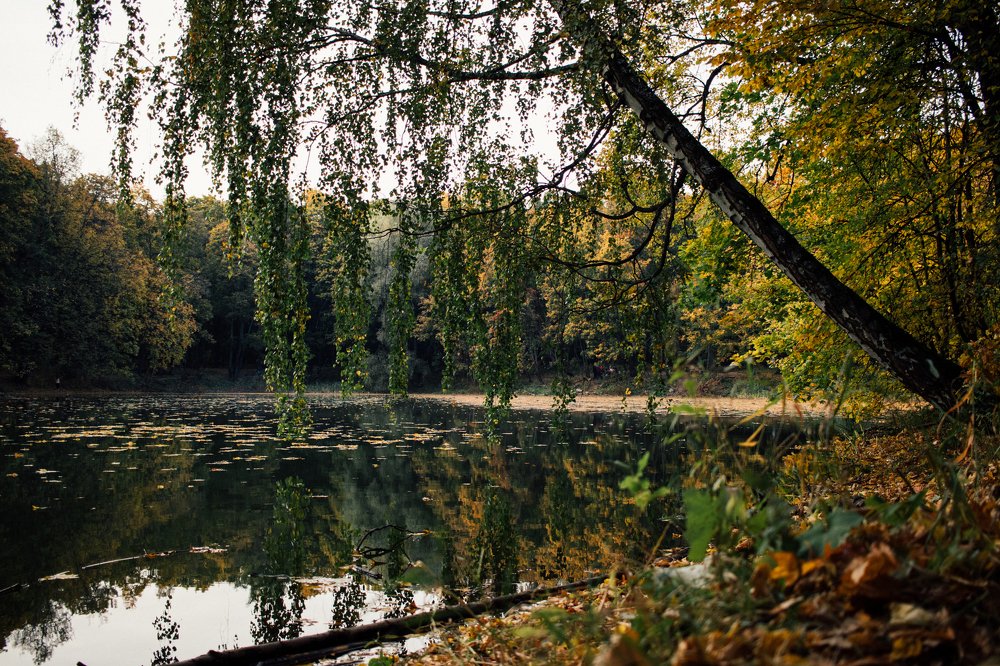 Photograph by Ангелина Рукавец