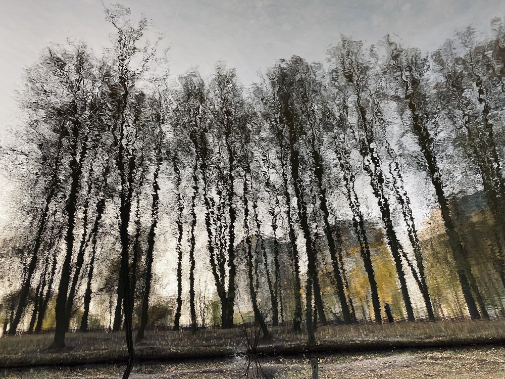 Фотография автора Maria Alekseeva