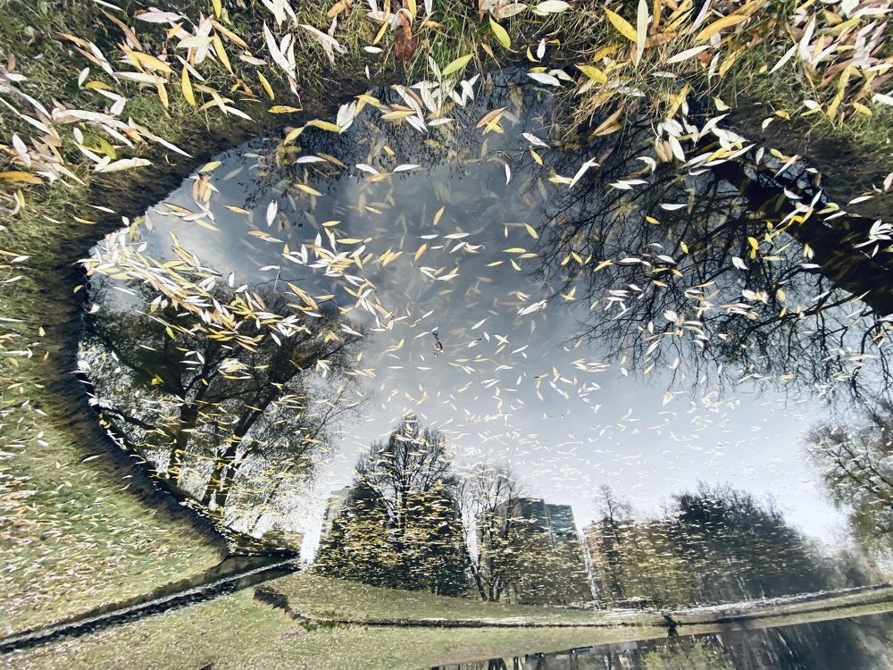 Око осени. Autumn eye