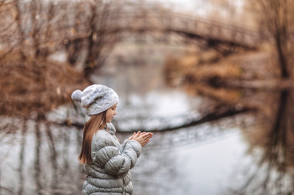 Туманы и дожди...
