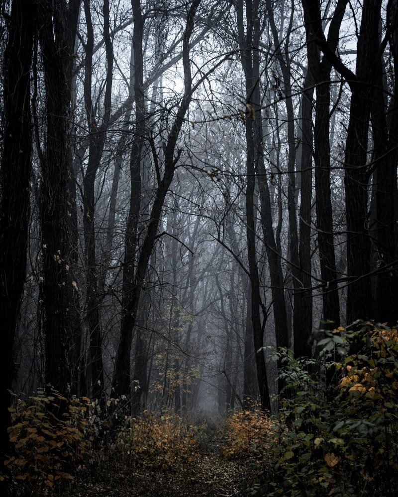 Photograph by ЕВГЕНИЙ РУДЕНКО