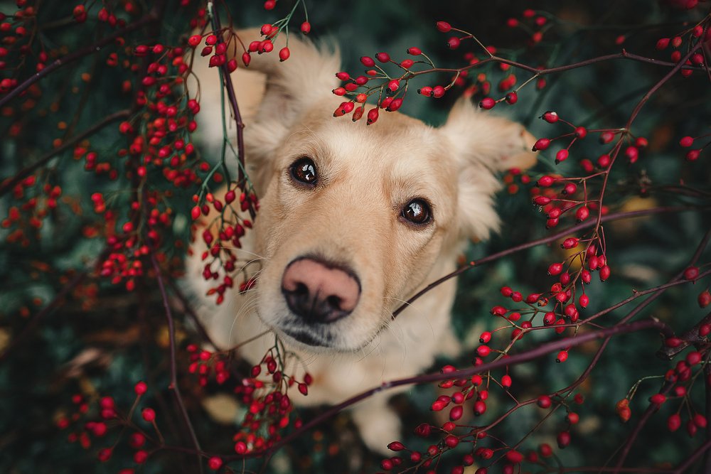 Photograph by PO IRINA