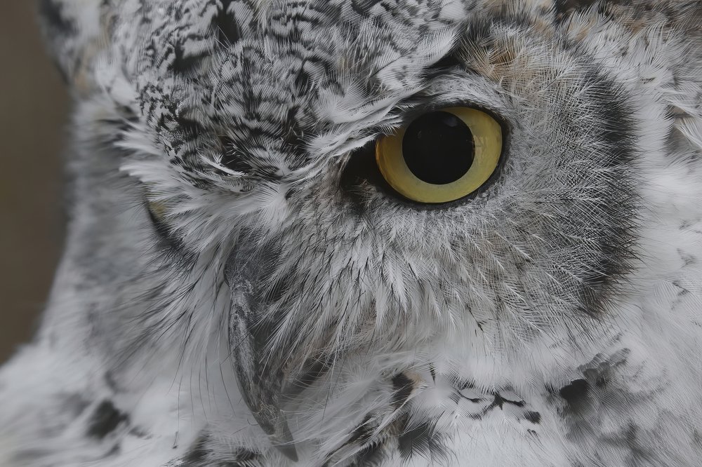 Photograph by Ernestas Balcikonis