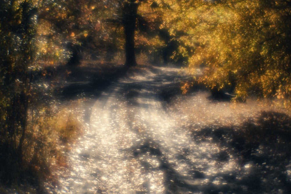 Фотография автора Игорь Баранов