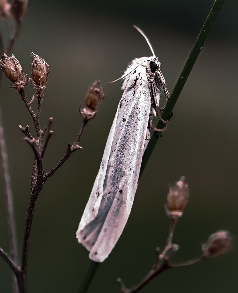 Photograph by Марина Сидоренко