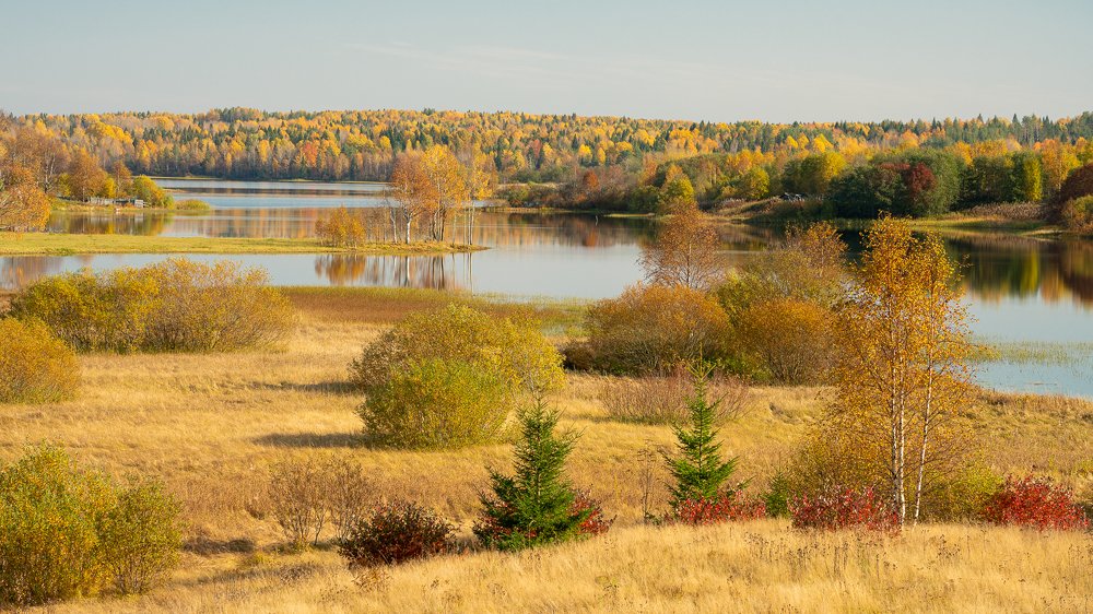 Фотография автора Вадим Жигулин